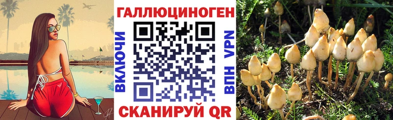Псилоцибиновые грибы GOLDEN TEACHER  маркетплейс наркотические препараты  Тихвин 